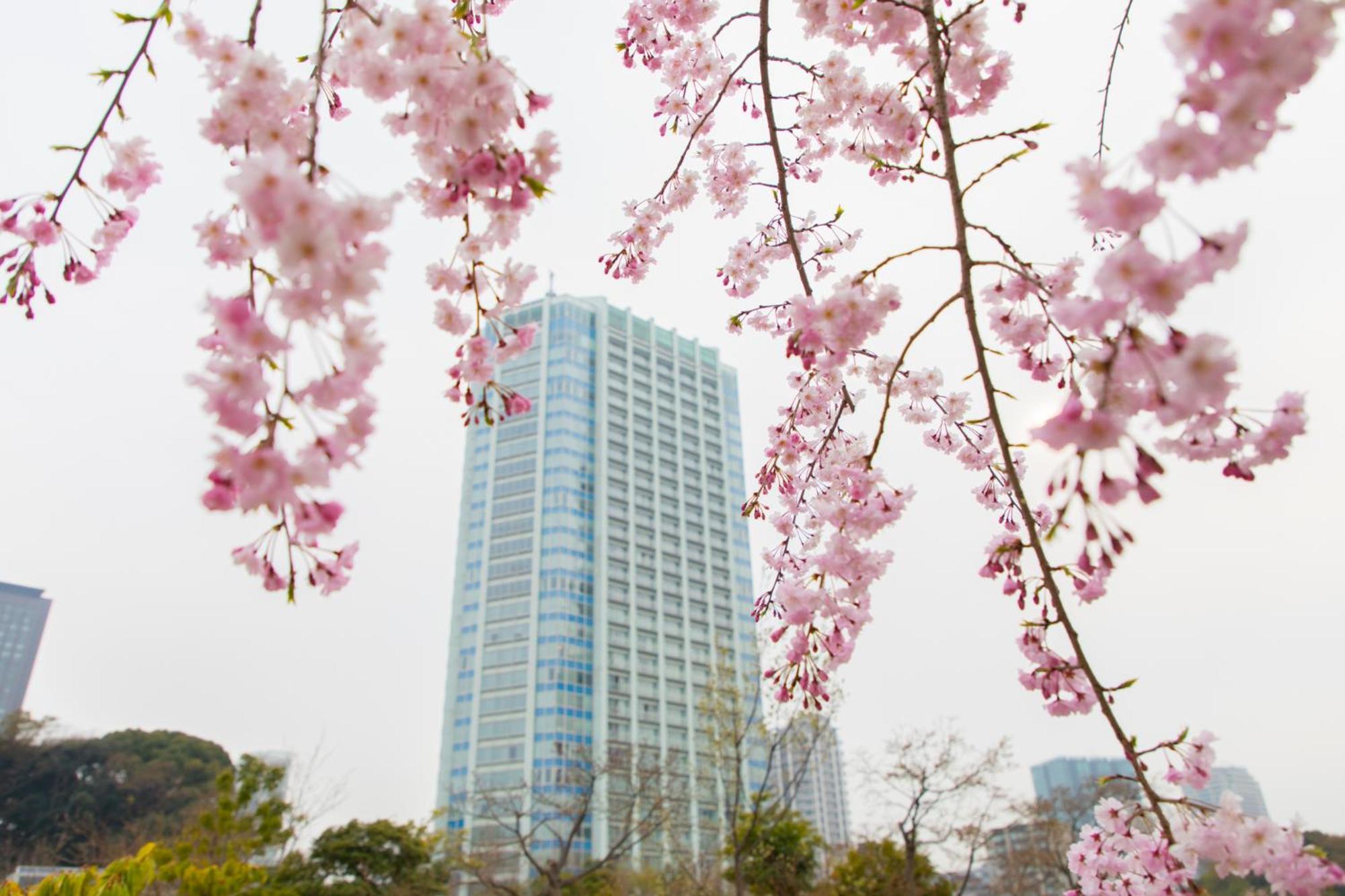 東京都 东京皇家王子大饭店花园塔酒店 外观 照片